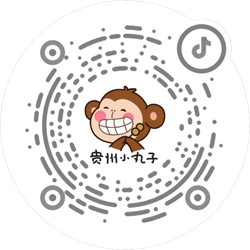 貴州小丸子